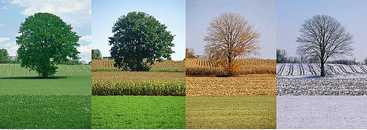 《猎天使魔女3》新配音演员希望和平解决分歧