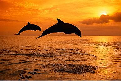 《胡闹厨房：全都好吃》四折限时特惠开启